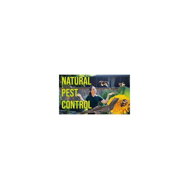 Natural Pest Control Methods