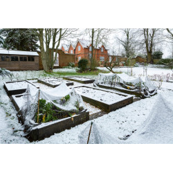 Winter Garden Care